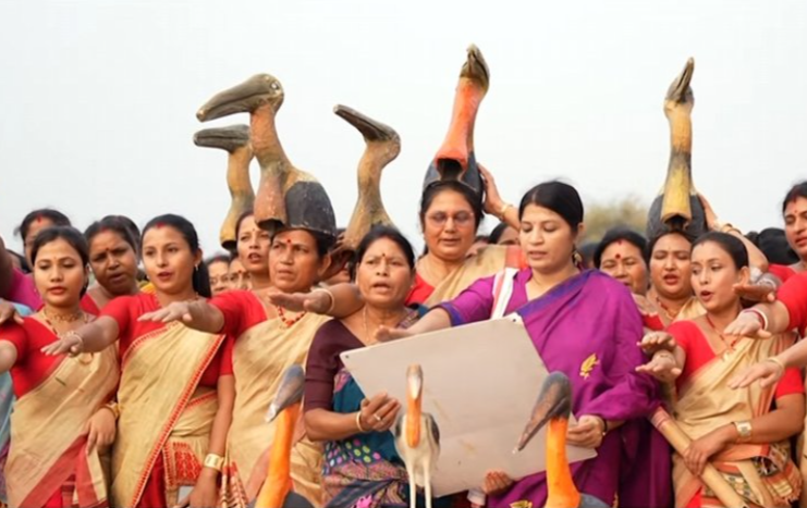Image from: "Hargila bird plays vital role in keeping nature clean": PM Modi praises Assam's 'Hargila Army' efforts in Mann Ki Baat