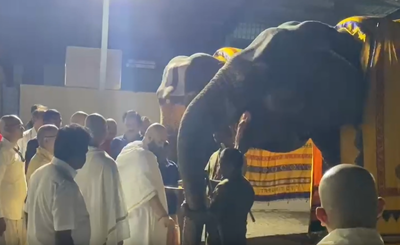 Image from: Anant Ambani visits Tirumala Temple, offers his hair as part of traditional ritual