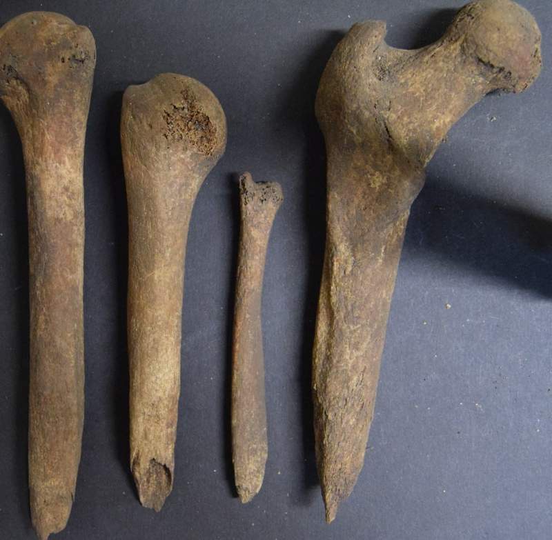 Image from: Archaeologists Thought They Had Found Ancient Tools in a 2,000-Year-Old Scottish Grave, They Turned Out to Be Human Bones