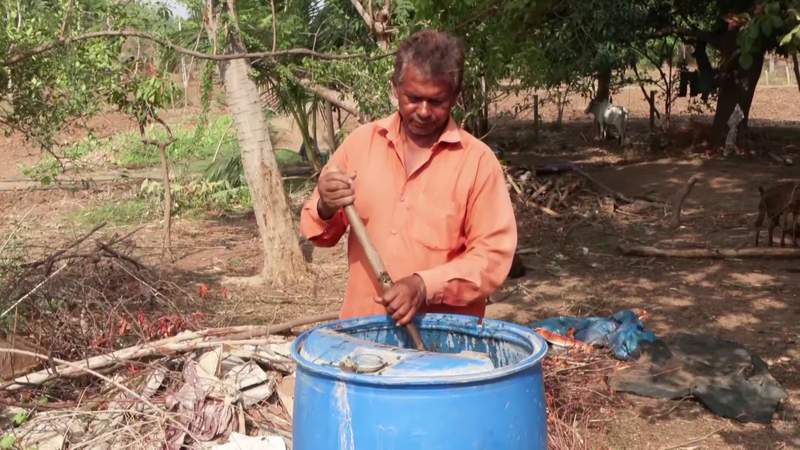 Image from: Zero cost, double profit: Gujarat's Dahod farmers see success in natural farming practices