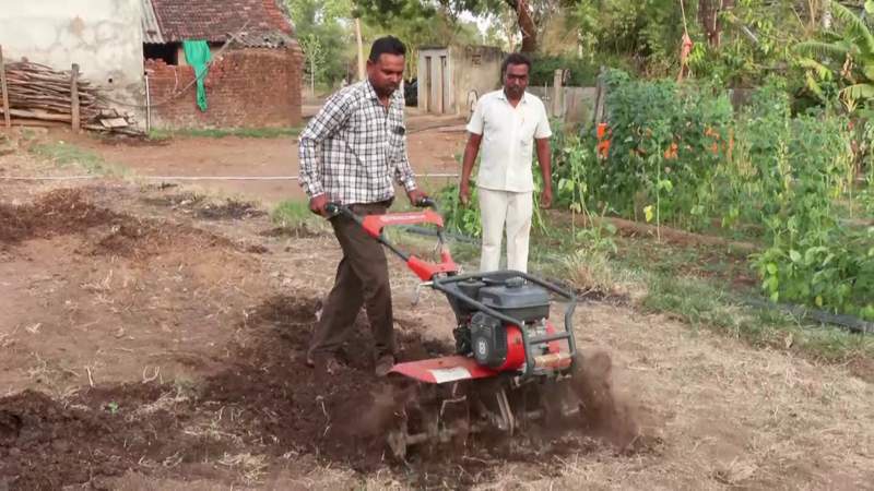 Image from: Zero cost, double profit: Gujarat's Dahod farmers see success in natural farming practices