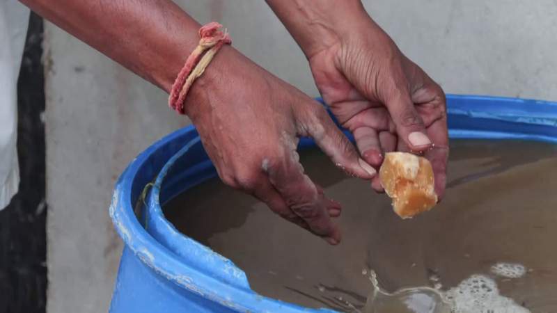 Image from: Zero cost, double profit: Gujarat's Dahod farmers see success in natural farming practices