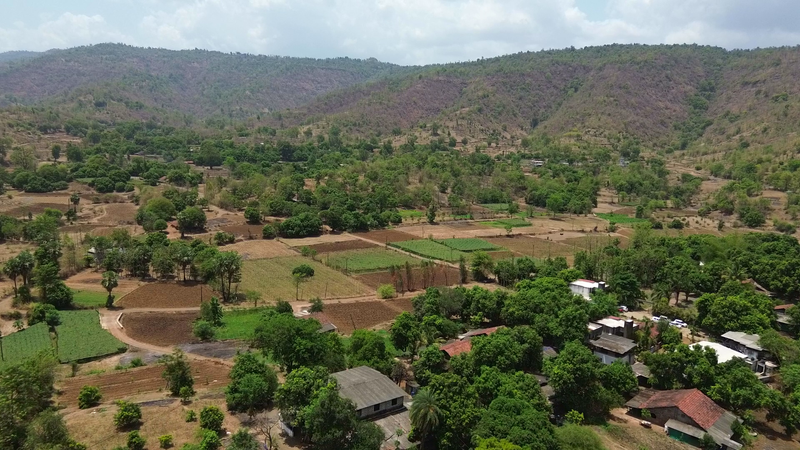Image from: Gujarat's Mandap Scheme boosts vegetable farming, strengthens tribal livelihoods in Valsad