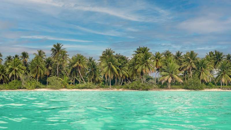 Image from: In the Caribbean, this untouched beach has been named one of the best in the world (and you’ll soon understand why!)