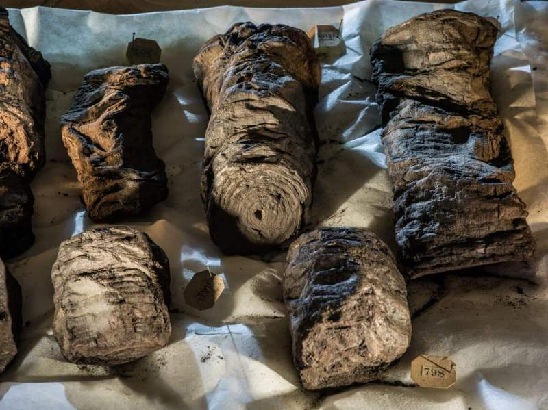 Image from: AI Has Deciphered a 2,000-Year-Old Treatise Frozen by Mount Vesuvius, Revealing Ancient Wisdom Lost in Time
