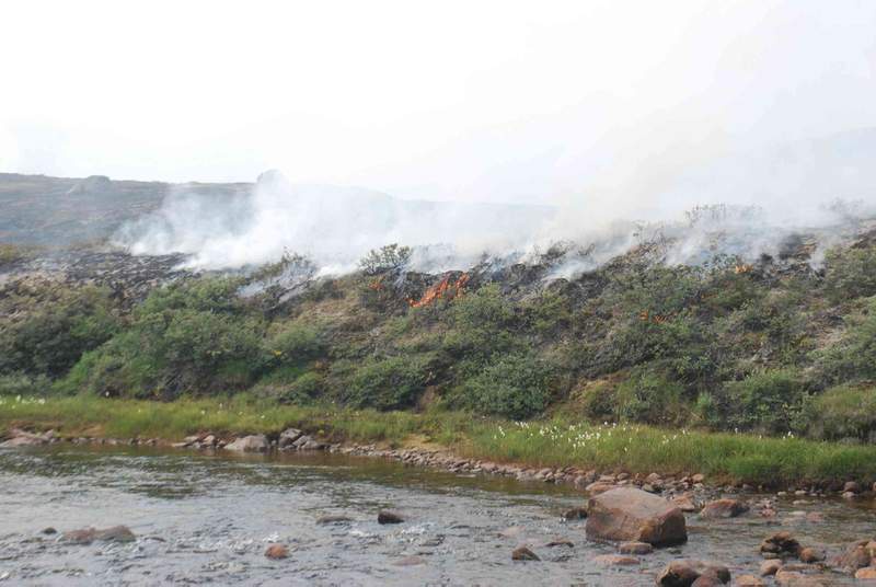Image from: ‘This was something new’: what people in Greenland told us about learning to live with wildfires