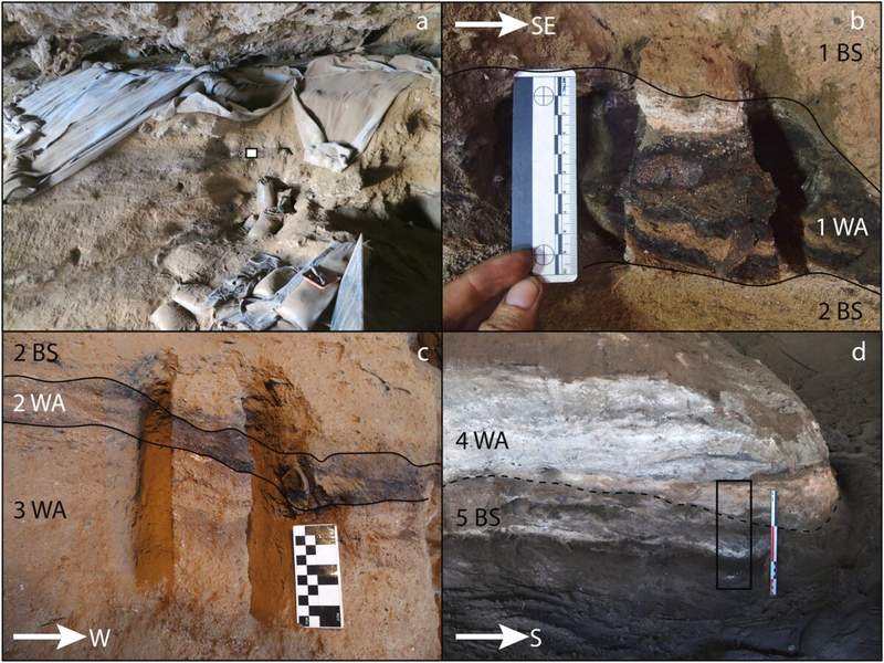 Image from: Inside This South African Cave, Scientists Found 200,000-Year-Old Beds Made by Early Humans