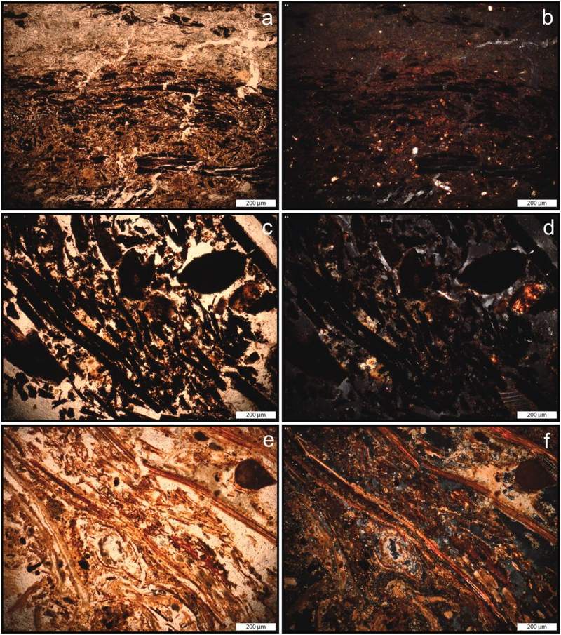 Image from: Inside This South African Cave, Scientists Found 200,000-Year-Old Beds Made by Early Humans