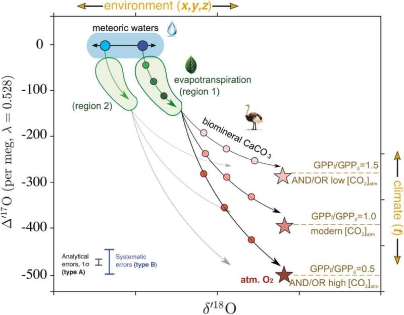 Image from: Scientists Found a 15-Million-Year-Old Record of Earth’s Atmosphere Hidden Inside Giant Bird Eggshells