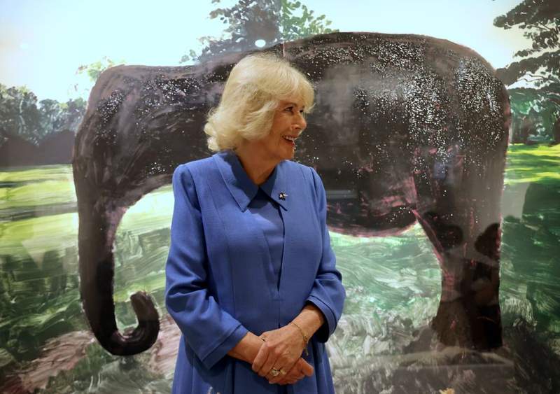 Image from: Queen Camilla reveals hope King Charles's personal artwork will feature in exhibition