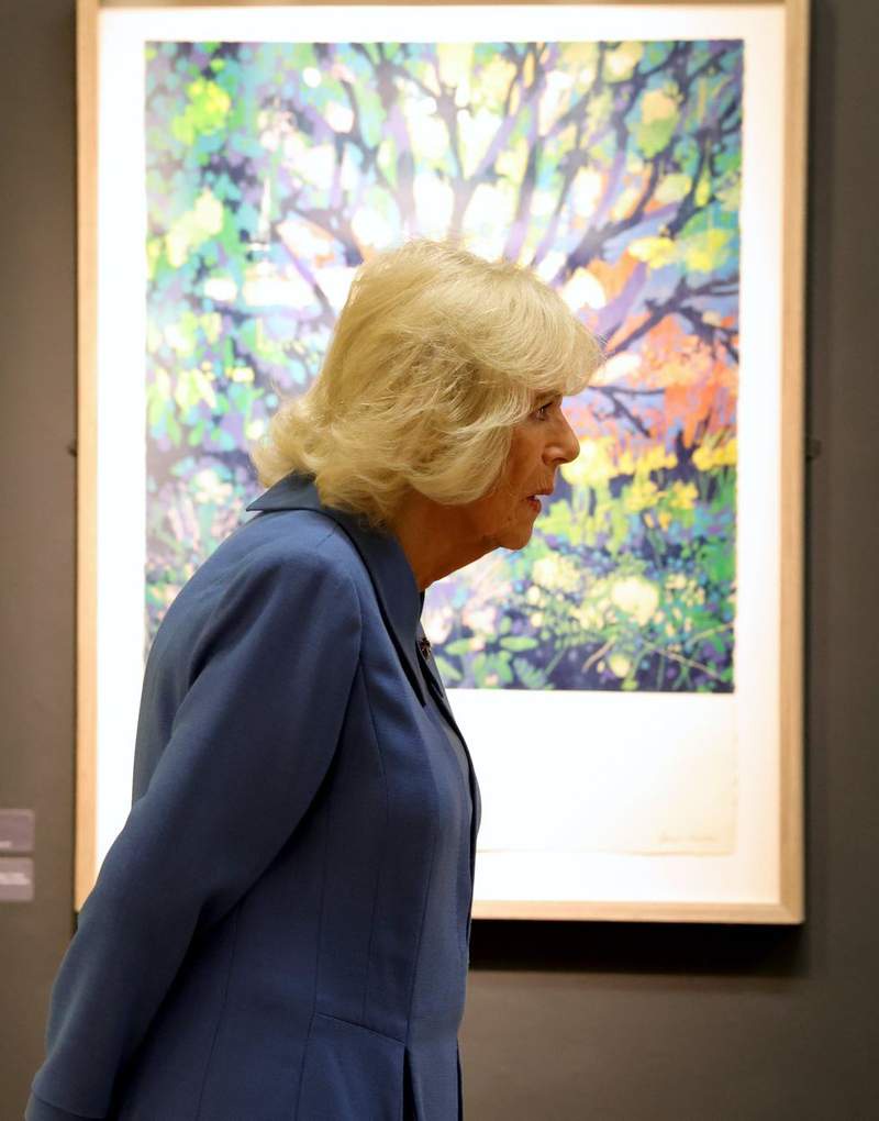 Image from: Queen Camilla reveals hope King Charles's personal artwork will feature in exhibition