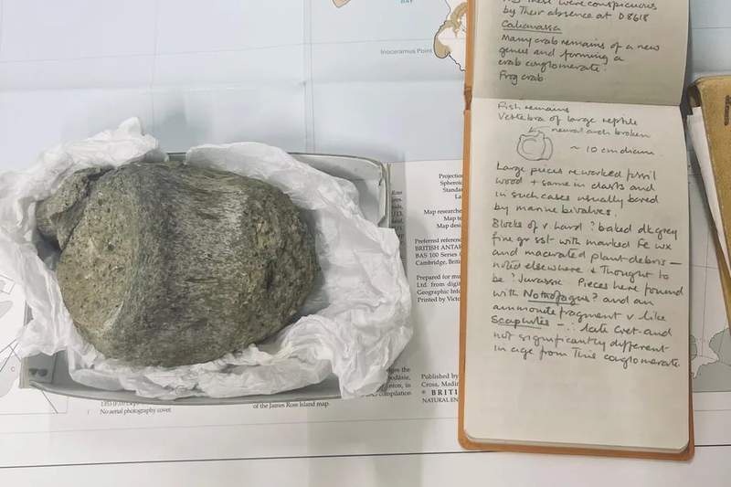 Image from: A 40-Year-Old Fossil in Antarctica Just Turned Out to Be the First Dinosaur Bone Ever Found on the Continent