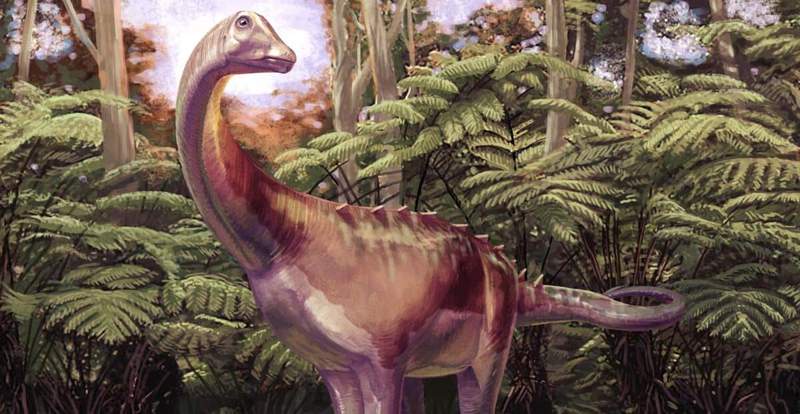 Image from: A 40-Year-Old Fossil in Antarctica Just Turned Out to Be the First Dinosaur Bone Ever Found on the Continent