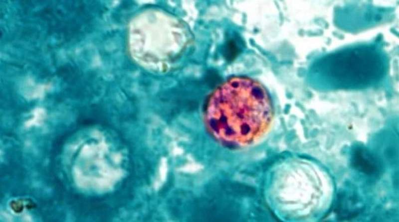 Image from: Explosive diarrhoea outbreak sparks panic across US as experts scramble to solve what's behind it