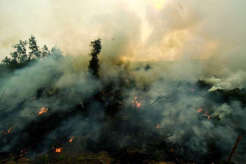 Image from: Singapore, Indonesia, Malaysia to face 'severe' haze in coming months