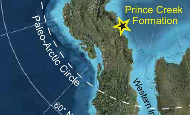 Image from: Scientists Found Three Unknown Fossil in Alaska That Lived Alongside Dinosaurs 73 Million Years Ago