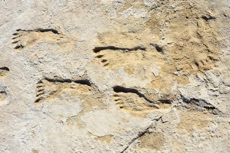 Image from: Ancient Mud in New Mexico Confirms 23,000-Year-Old Human Footprints with New Dating Evidence