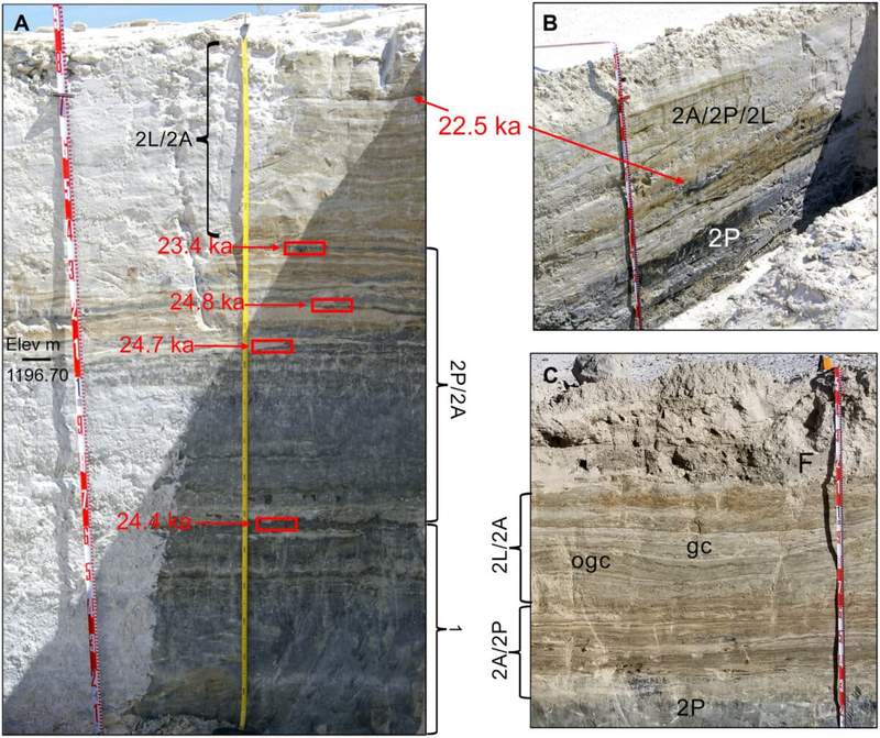 Image from: Ancient Mud in New Mexico Confirms 23,000-Year-Old Human Footprints with New Dating Evidence
