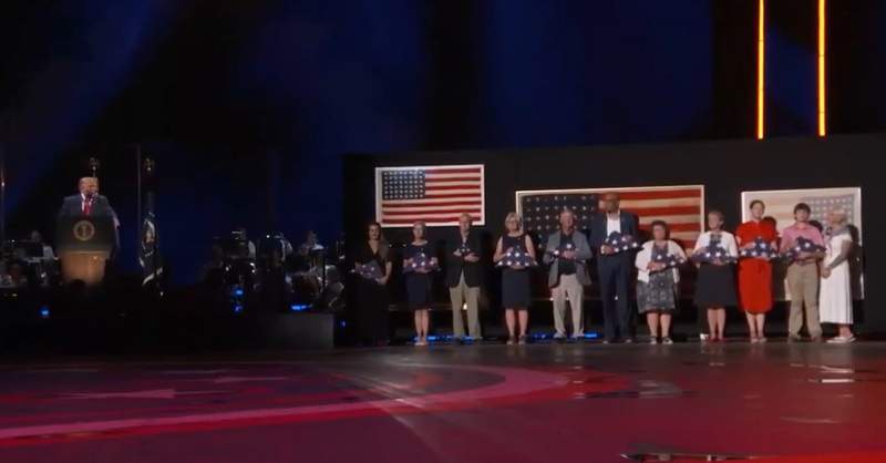 Image from: Trump honours heroes and history in heartfelt 250th anniversary tribute at 'Salute to America' celebrations