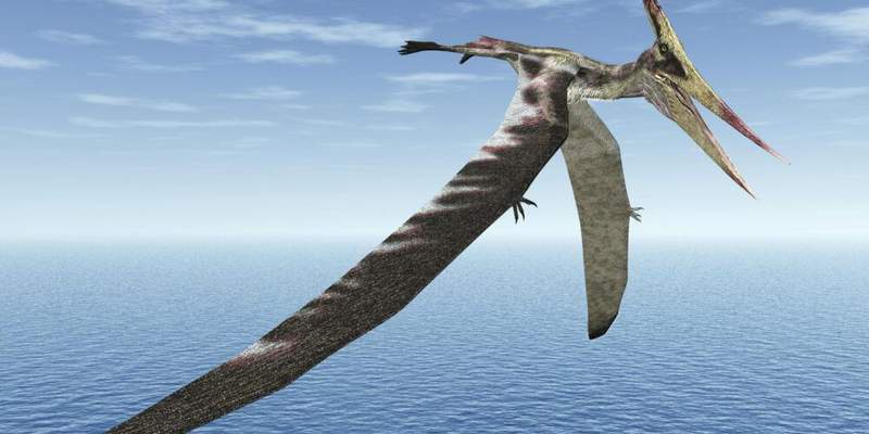 Image from: Scientists Just Found the First Molecules Ever Preserved Inside an Exceptional 113-Million-Year-Old Fossil