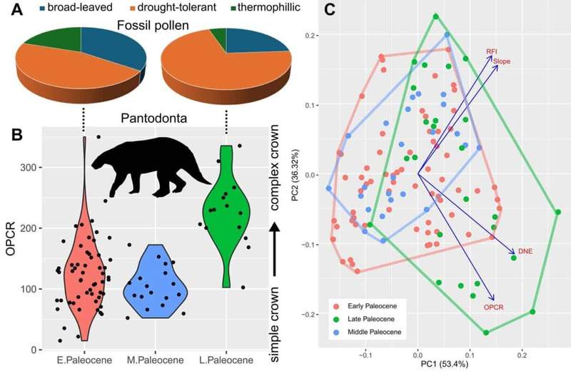 Image from: Scientists Studied 200 Fossil Teeth and Finally Revealed What Happened to Mammals During the First 10 Million Years After the Dinosaur Extinction