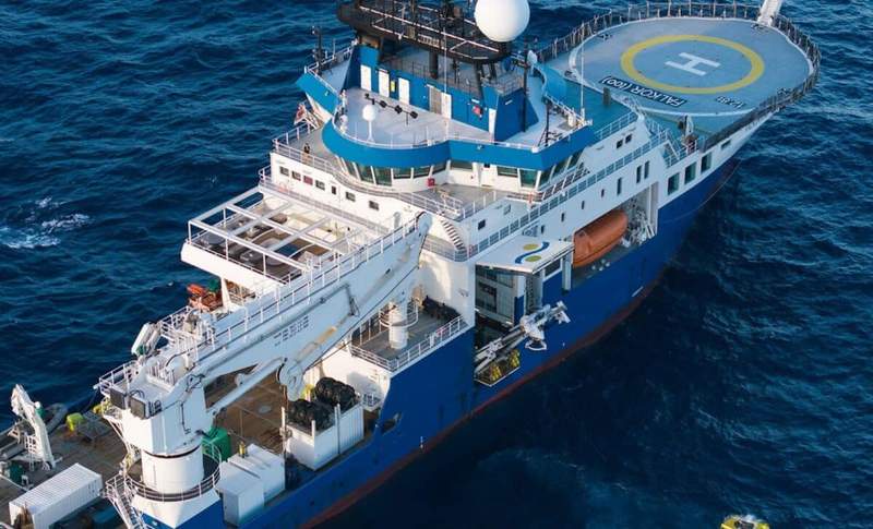 Image from: A Two-Week Expedition Off Brazil Uncovered 31 Marine Species That Had Never Been Described Before
