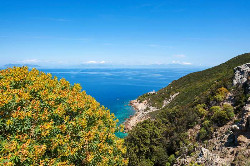 Image from: In Italy, this wild, uninhabited island used to be the Roman aristocracy’s most scandalous secret (at the heart of a little Pontine paradise)