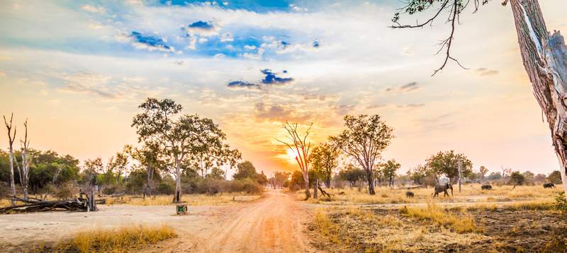 Image from: In Africa, Zambia is home to the world’s walking safari capital, and it’s unlike any safari you’ve ever experienced