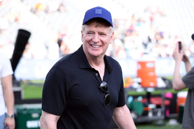 Image from: How Roger Goodell reacted to 49ers head coach questioning playing NFL games in Australia