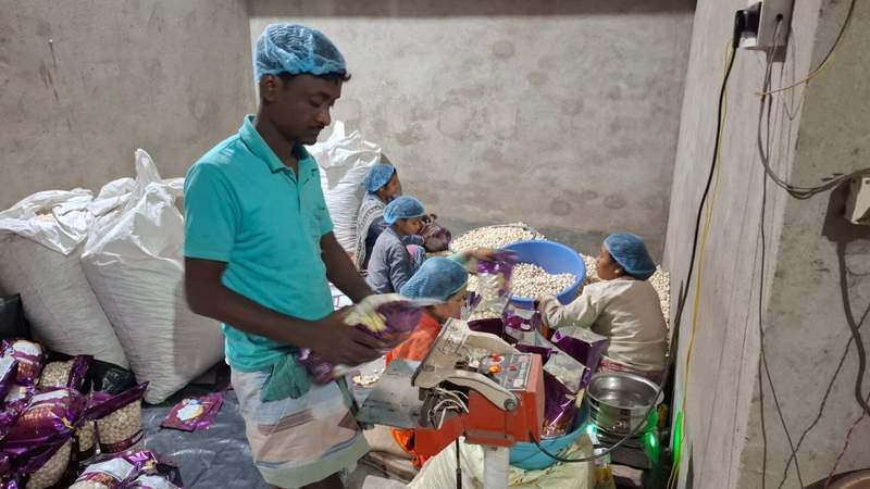 Image from: Bengal's makhana industry faces export crisis amid Israel-US vs Iran war, traders demand branding and policy support