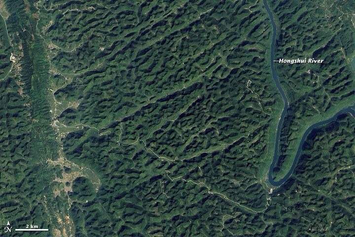 Image from: Explorers Discover a Hidden Forest 600 Feet Underground Inside a Giant Chinese Sinkhole