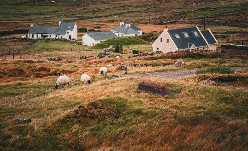 Image from: This quaint Irish village is up for sale, and it looks straight out of a fairytale