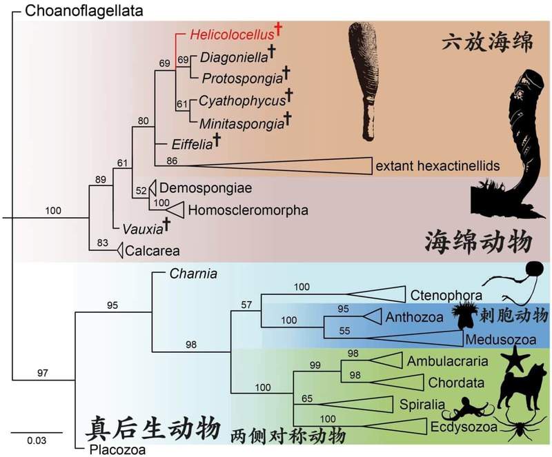 Image from: Scientists Found a Fossil Along a River in China, and It Seems to Have Solved a 160-Million-Year-Old Mystery