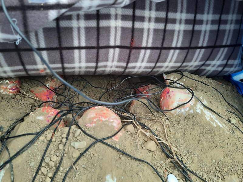 Image from: A Taiwanese Team Built a Life-Size Dinosaur Nest, Never Expecting the Sun to Be Their Biggest Discovery