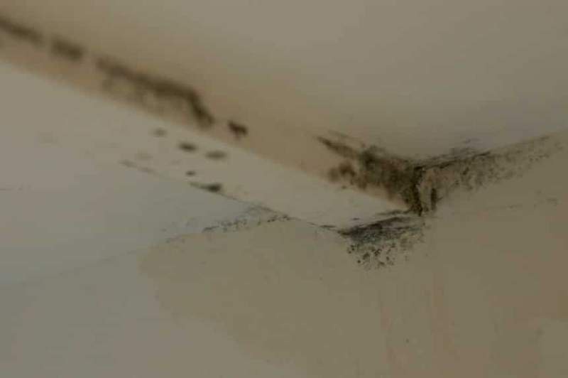 Image from: Sticking Aluminum Foil to the Walls of Your House: Why Contractors Recommend It and When You Should Try It