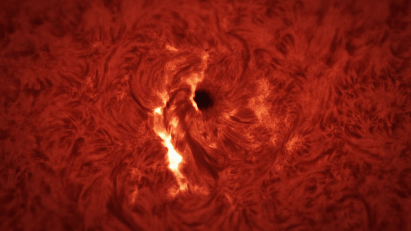 Image from: The Chilling Sound Of A Solar Flare Reveals The Sun’s Powerful Energy During Eruptions