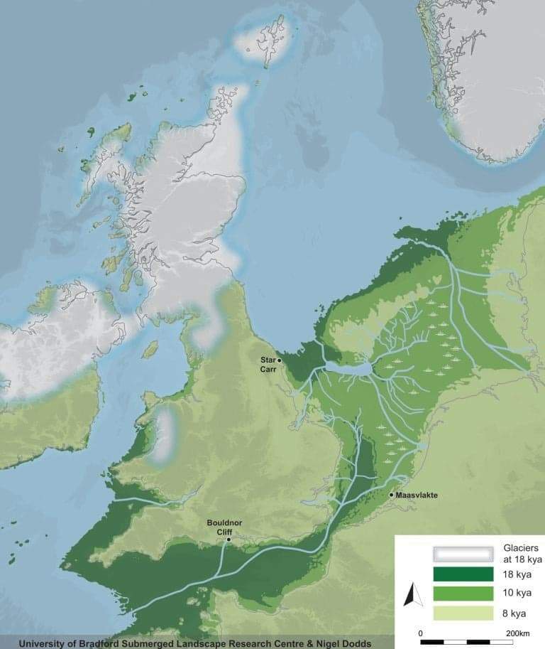 Image from: Buried Beneath the North Sea, Scientists Just Discovered a Hidden Forest That Was Supposed to Have Vanished 400,000 Years Ago
