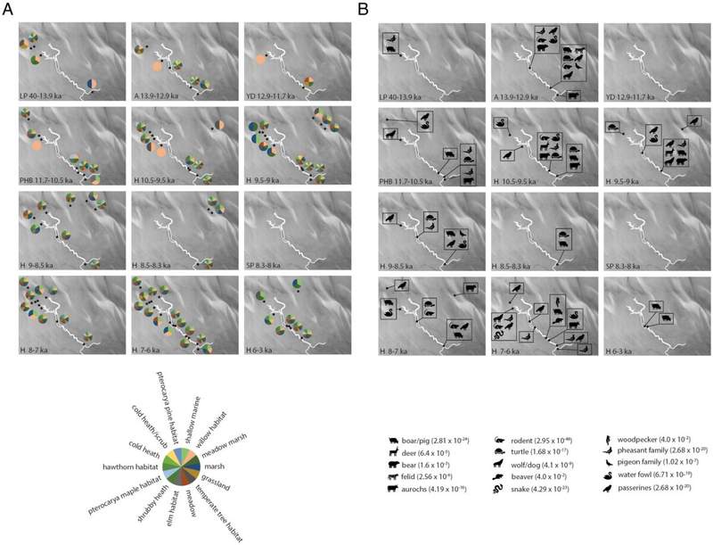 Image from: Buried Beneath the North Sea, Scientists Just Discovered a Hidden Forest That Was Supposed to Have Vanished 400,000 Years Ago