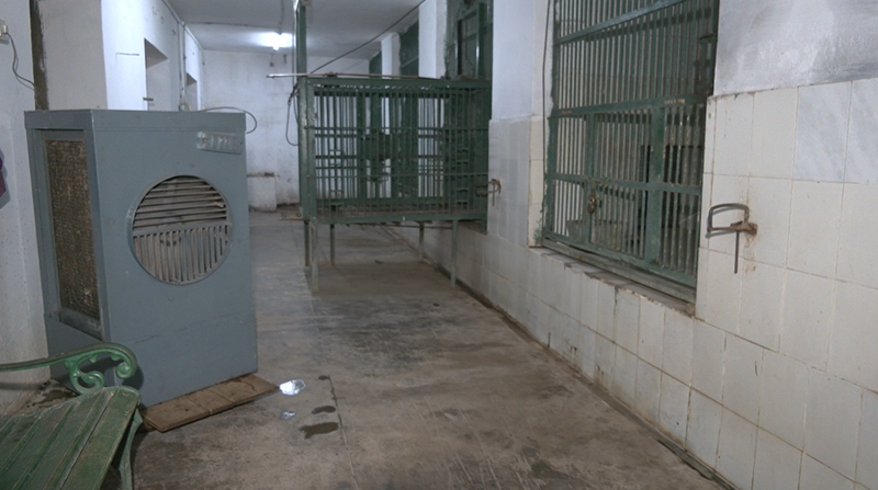 Image from: MP: Special arrangements made at Gwalior Zoo to protect wildlife from rising heat