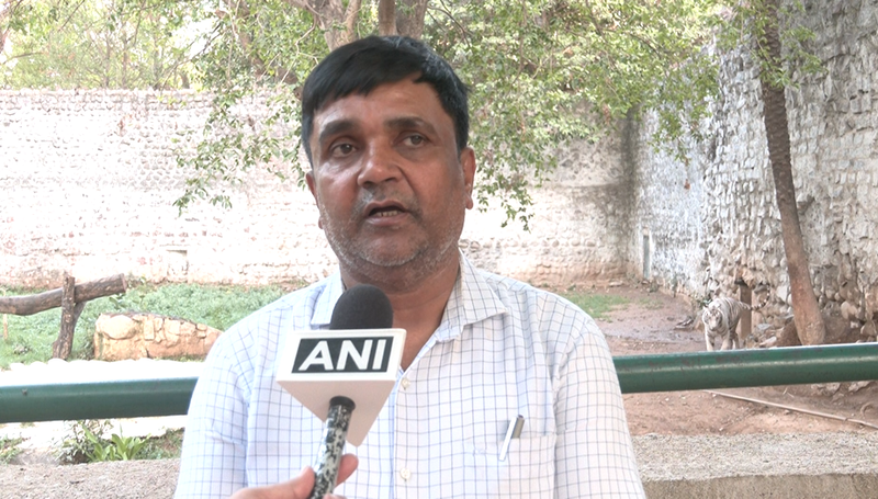 Image from: MP: Special arrangements made at Gwalior Zoo to protect wildlife from rising heat