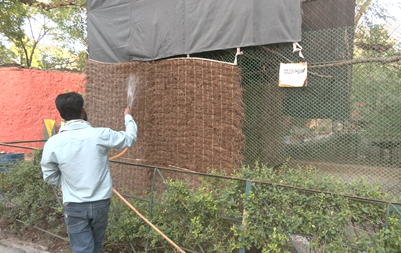 Image from: MP: Special arrangements made at Gwalior Zoo to protect wildlife from rising heat