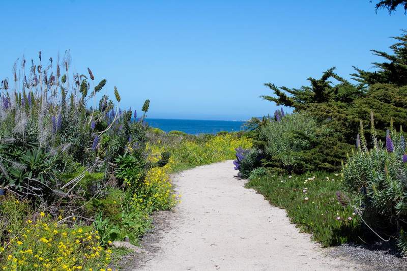 Image from: In California, step back in time and visit this quaint town with English cottages, medieval houses and a fairytale charm