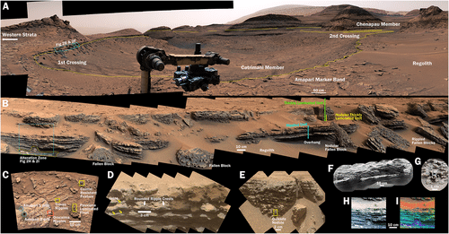 Image from: NASA’s Curiosity Rover Discovers Unprecedented Evidence of Water and Life on Mars