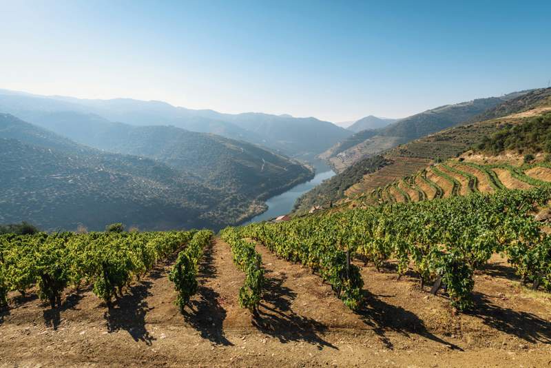Image from: In Portugal, this region home to the oldest demarcated wine region has just been named one of the most beautiful places in the world