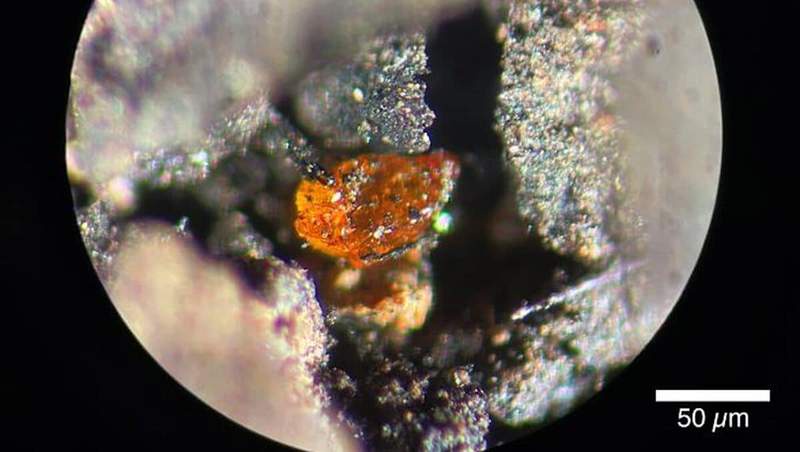 Image from: Scientists Discover Amber Beneath Antarctic Ice, Revealing the Continent Once Hosted Vast Forests