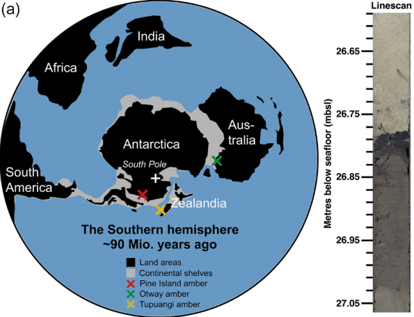 Image from: Scientists Discover Amber Beneath Antarctic Ice, Revealing the Continent Once Hosted Vast Forests