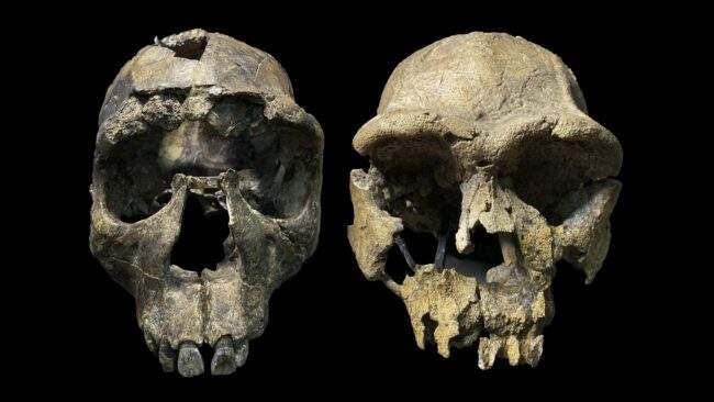Image from: A Massive Fracture Is Splitting Africa Apart: Scientists Just Found the Critical Breaking Point