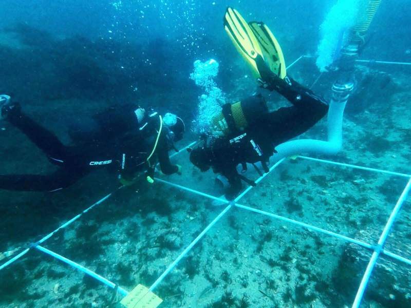 Image from: Archeologists Just Found an Underwater Graveyard Packed with Punic, Roman, Medieval, and World War II Shipwrecks