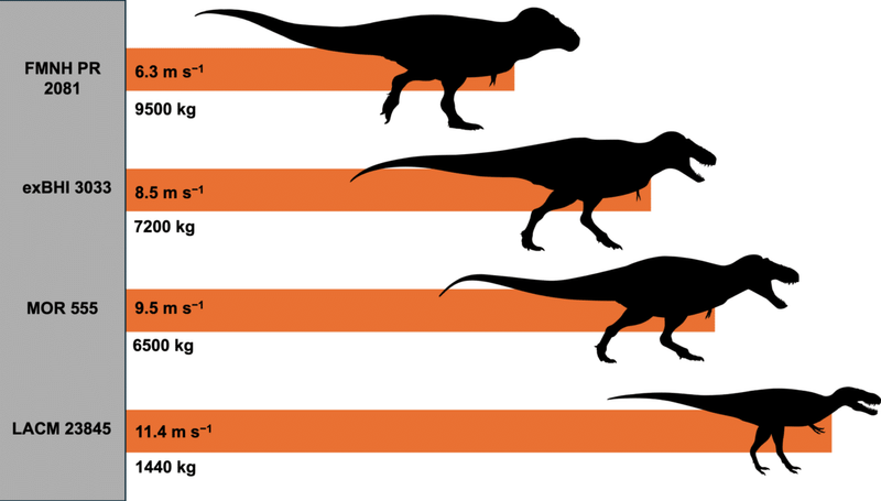 Image from: We’ve Been Wrong About T. Rex Since Jurassic Park: Scientists Say It Moved More Like an Ostrich Than a Giant Reptile