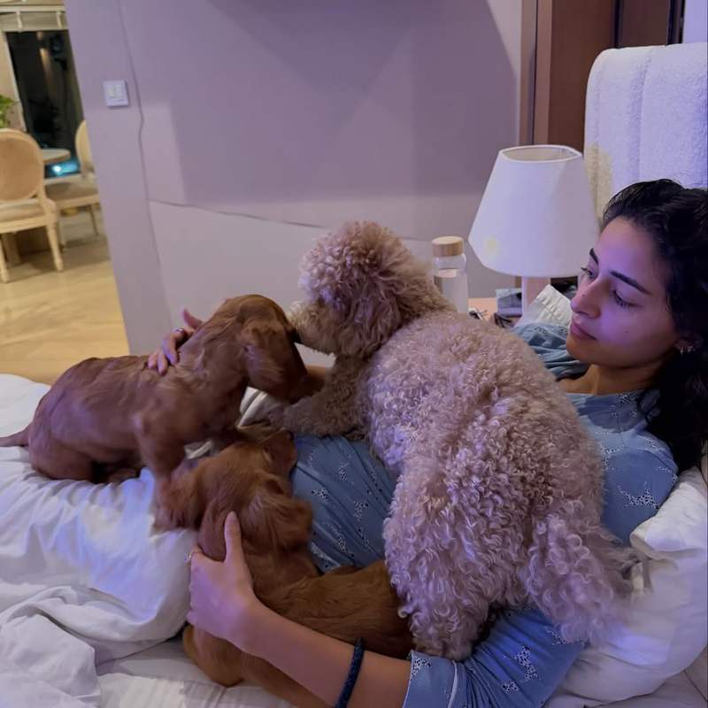 Image from: Ananya Panday shares adorable pictures with her pet dogs